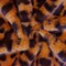Earth Orange-Black-Brown Leopard Printed Faux Fur Stretch Knit Fabric By the Yard